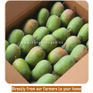 Kesar Raw Mangoes