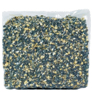 Sprouted Black Moong