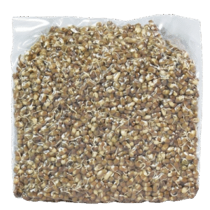 Sprouted Matuki