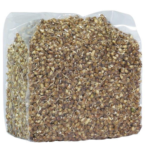 Matuki Sprouted Matuki - Tribe 91 Farms