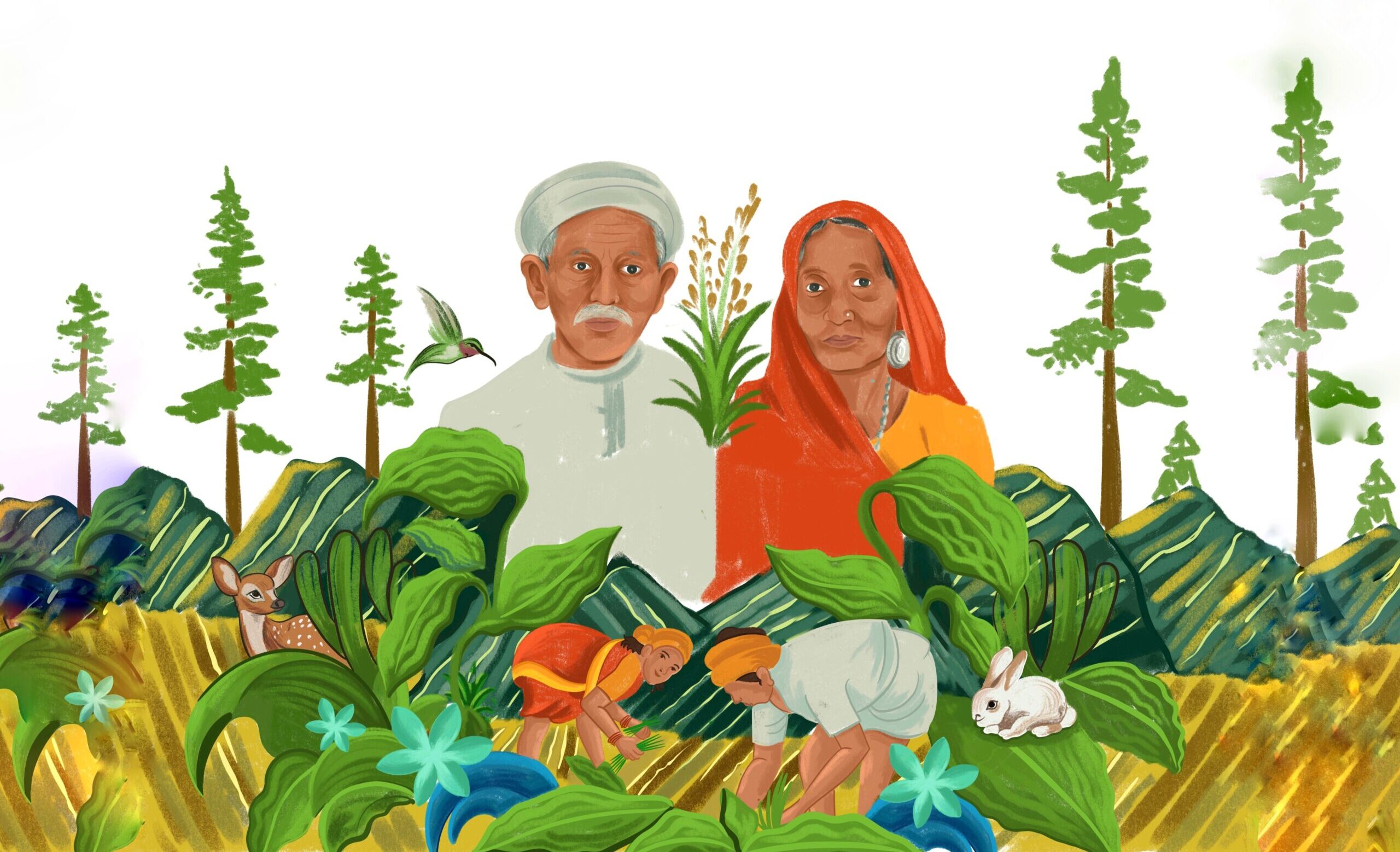 Tribe 91 packaging illustration