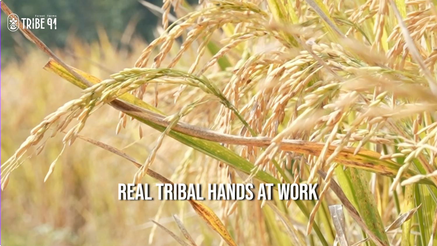 Tribe91 – Earthborn. People-Powered