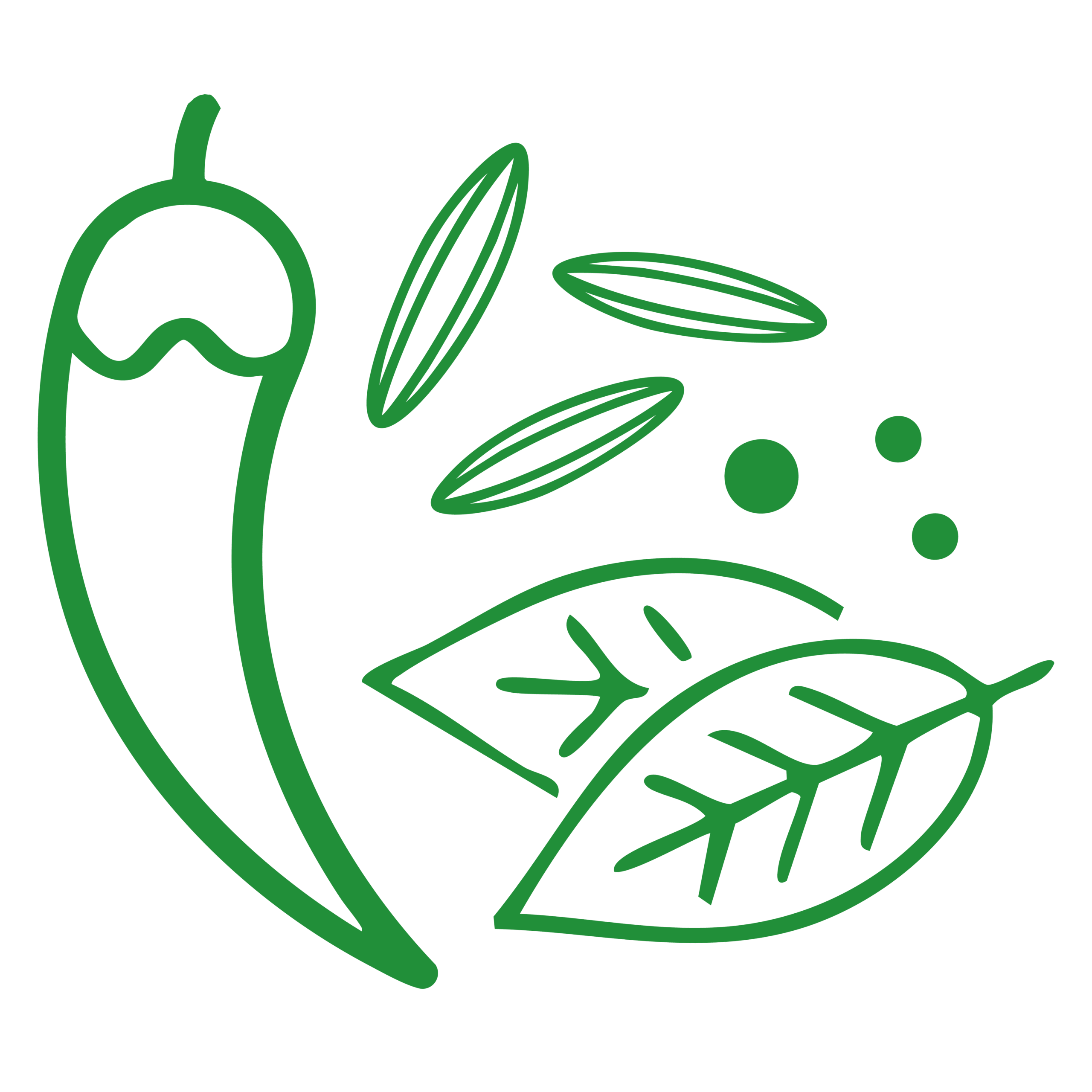 Special Spices